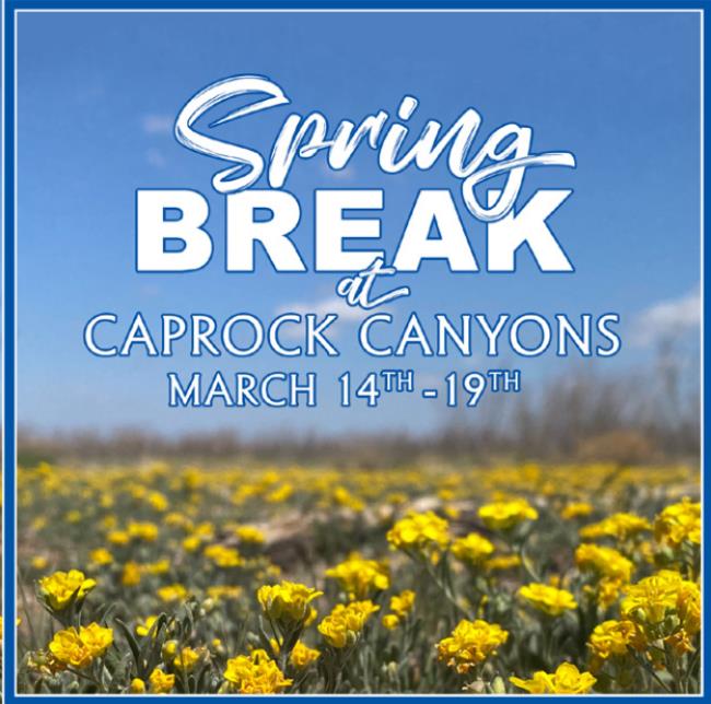 Spring Break events at Caprock Canyons State Park