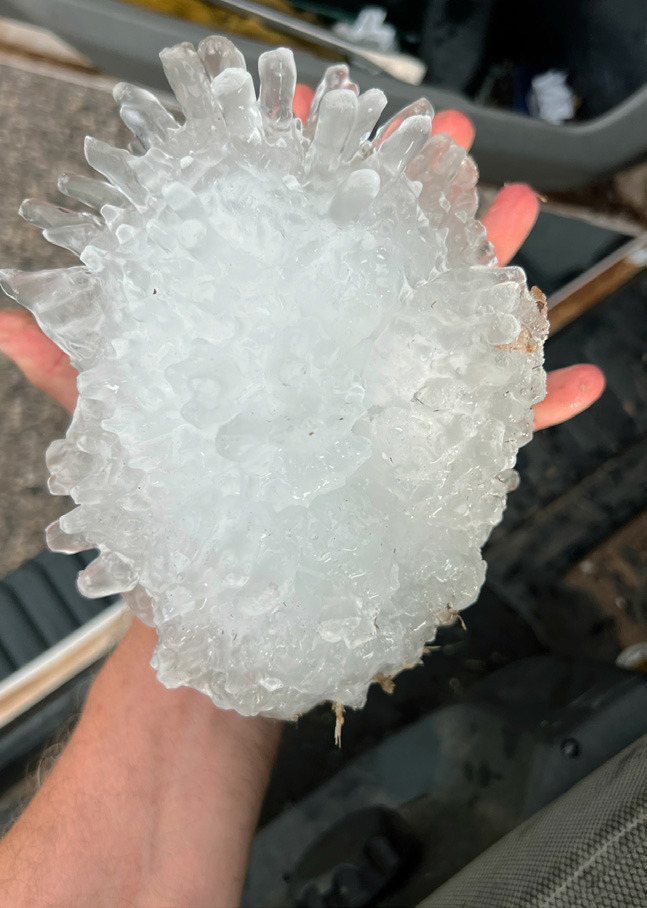 RECORD HAIL NEAR SILVERTON