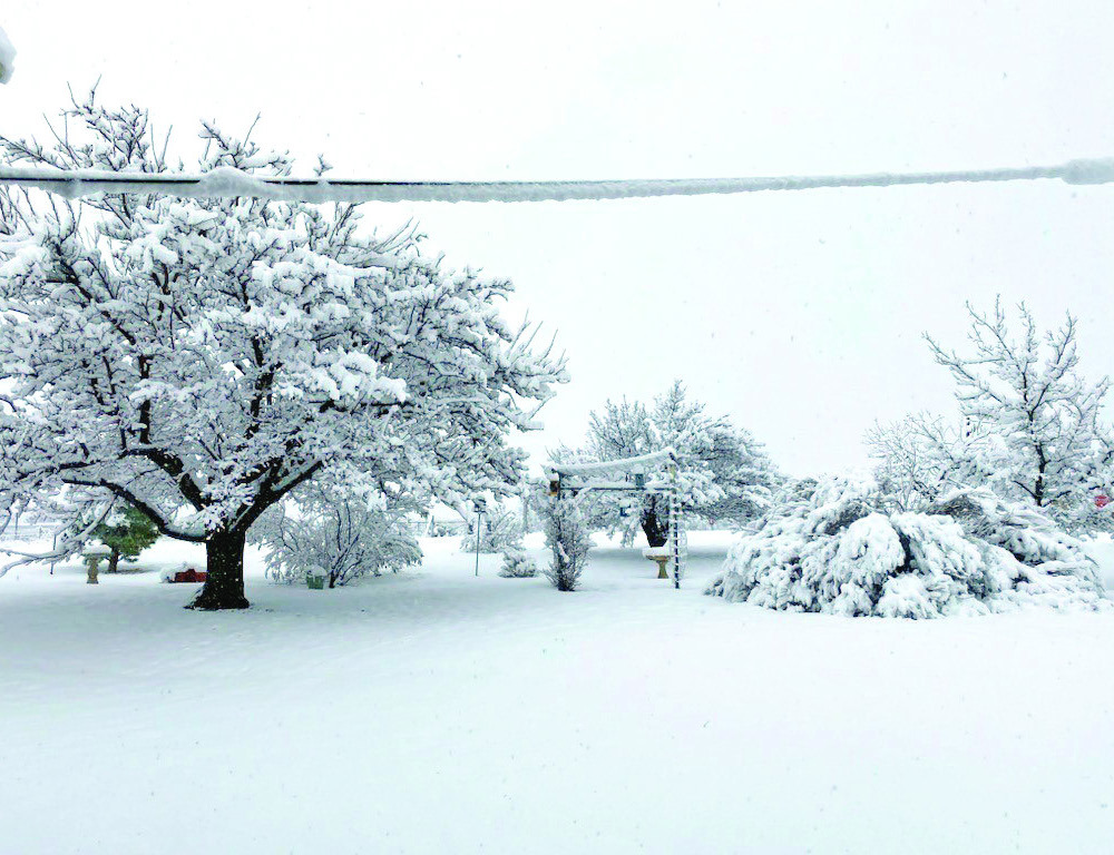 ROARING SPRINGS Snow blankets Roaring Springs on Tuesday, Jan. 24, in this photo courtesy of Jeff Thacker, posted by the National Weather Service. See complete snow weather coverage on page 7. | COURTESY PHOTO