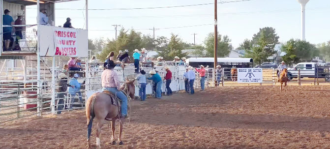 Winners announced from 2022 Briscoe County Celebration events