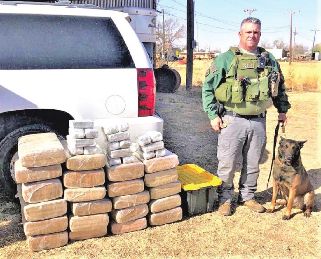K-9 CATCH