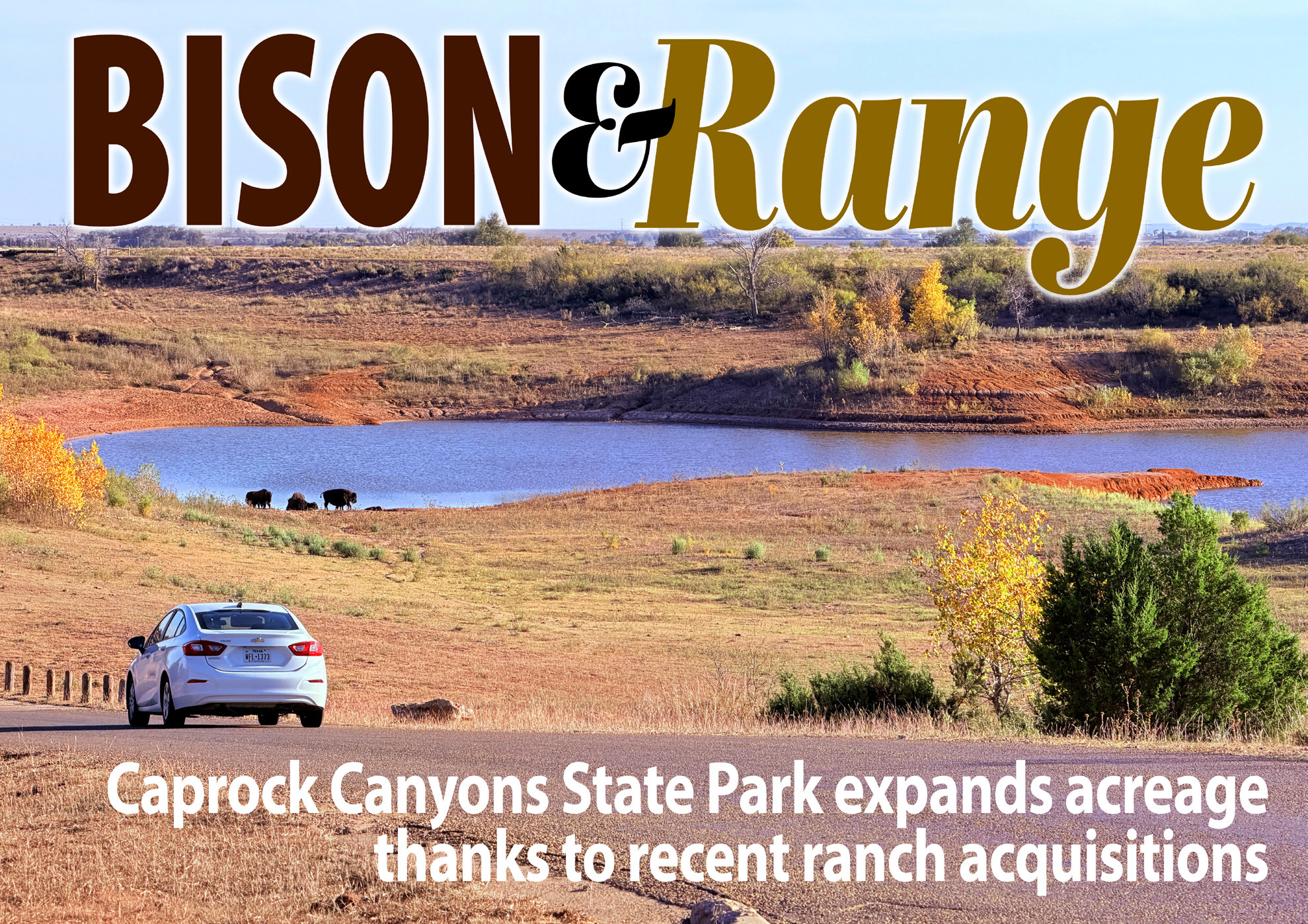 BISON & RANGE