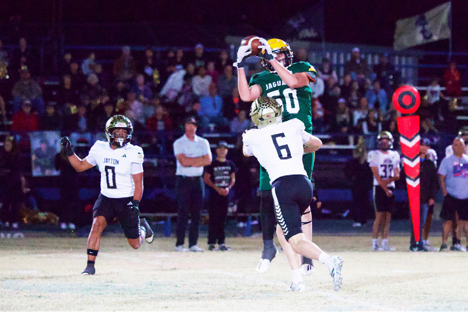 Jaguars fall to Jaybirds in playoffs