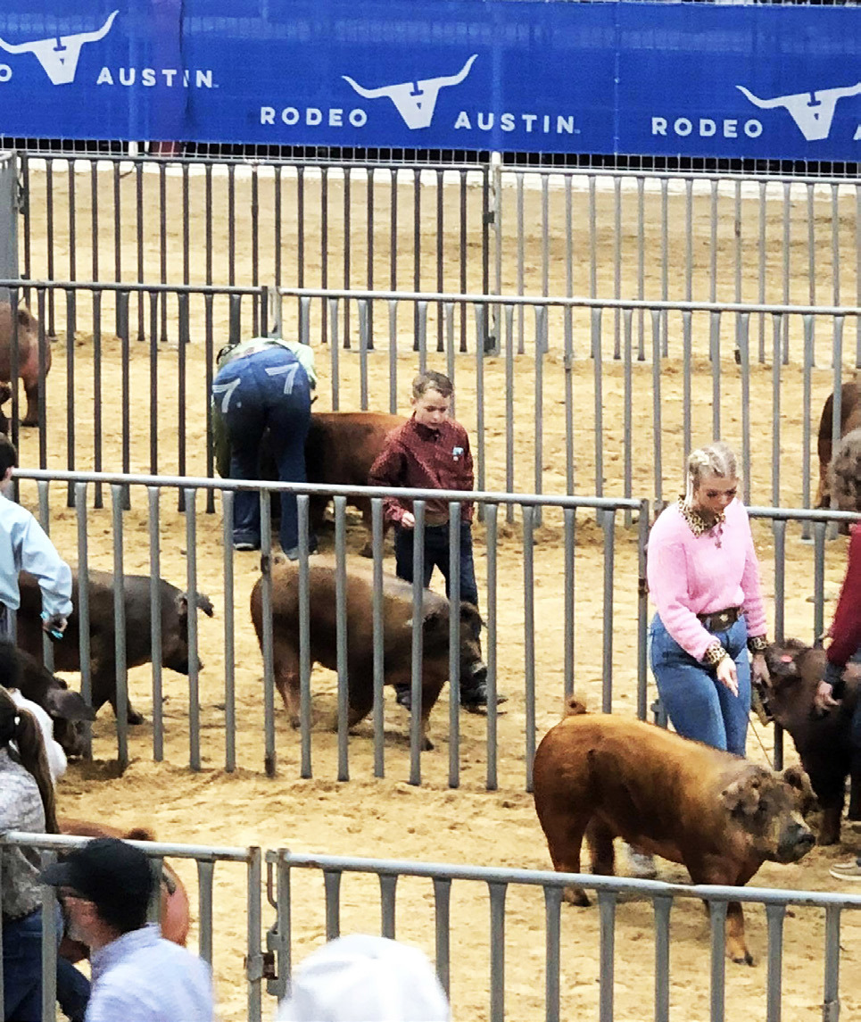 Motley County’s Haygen Elliott showed his good Duroc barrow at the Austin Livestock Show. | COURTESY PHOTO
