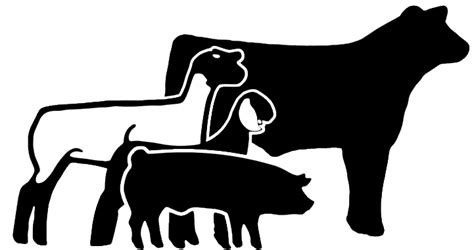Motley livestock show slated for next weekend in Matador