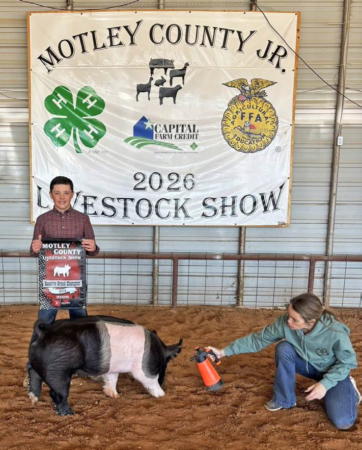 STOCK SHOW SEASON