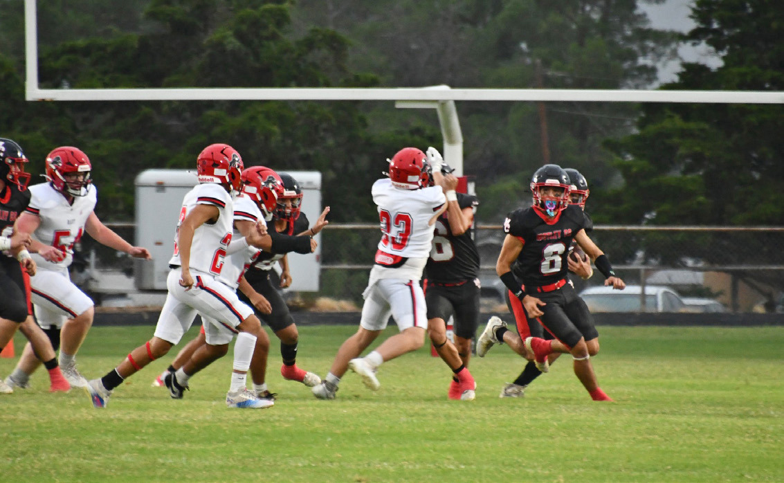 #5 Matadors tame Roby Lions