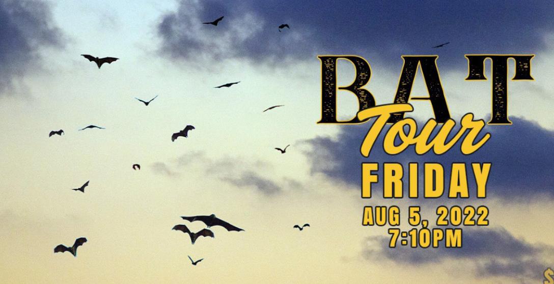 CCSP to host ‘Bat Tour’ Friday night
