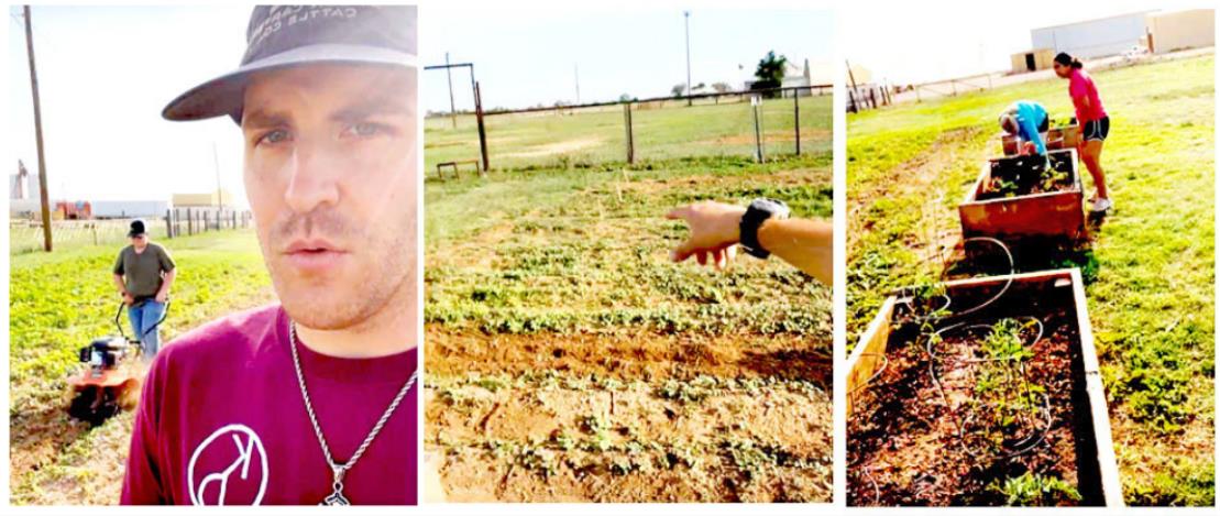 AT THE GREEN GATE The Briscoe County Rodeo Grounds is home to Silverton’s community garden, free for the picking for personal use. Mason Carter, extension agent, points out this year's plans for the Silverton community garden. | COURTESY PHOTO