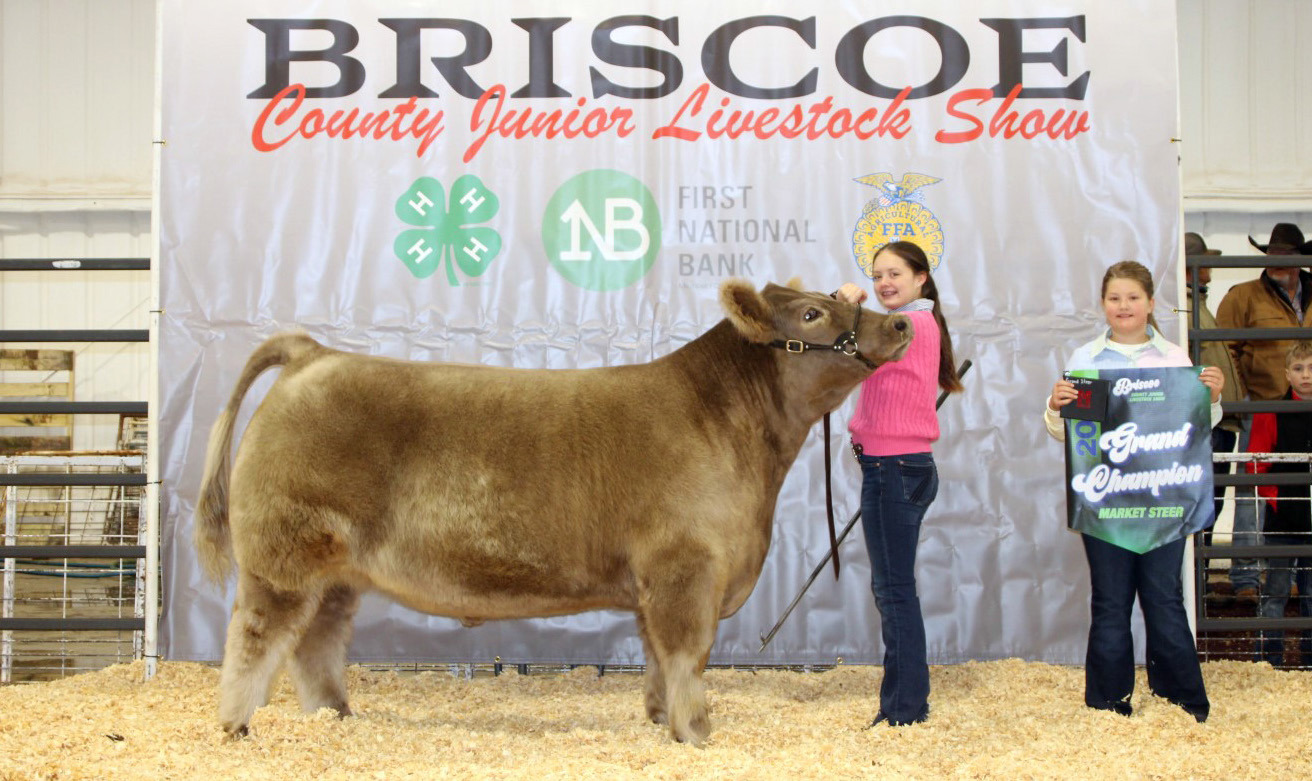 STEER GRAND CHAMPION KOLLINS BROCK