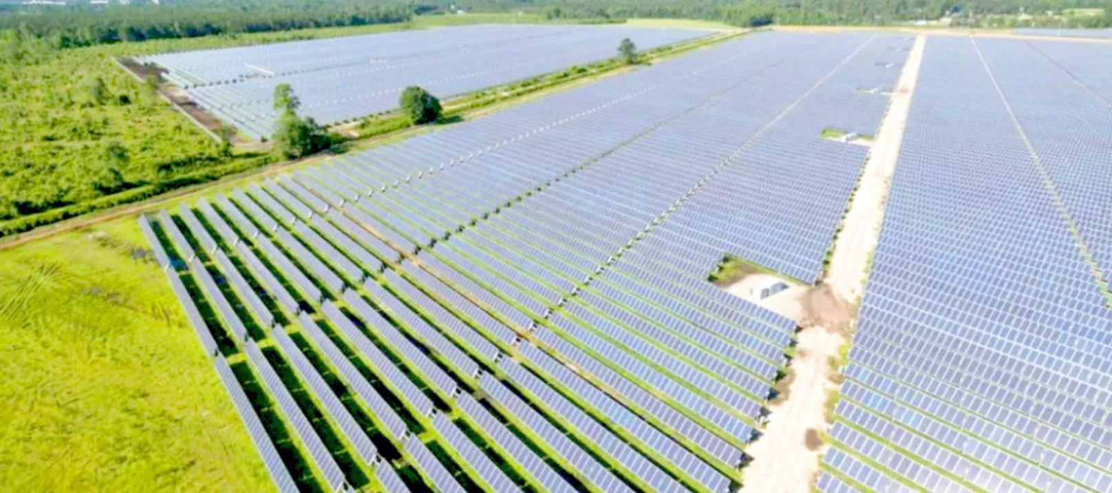 CARET IN COTTLE? This solar farm in Maxton, North Carolina, was developed by Caret LLC, formerly known as Innovative Solar. Caret is the U.S. solar development unit of Australian company VivoPower. Caret, which partnered with Starbucks to develop the solar farm in North Carolina, has been granted a tax abatement by the Cottle Commissioners to develop a solar farm south of Paducah, Texas. | COURTESY PHOTO