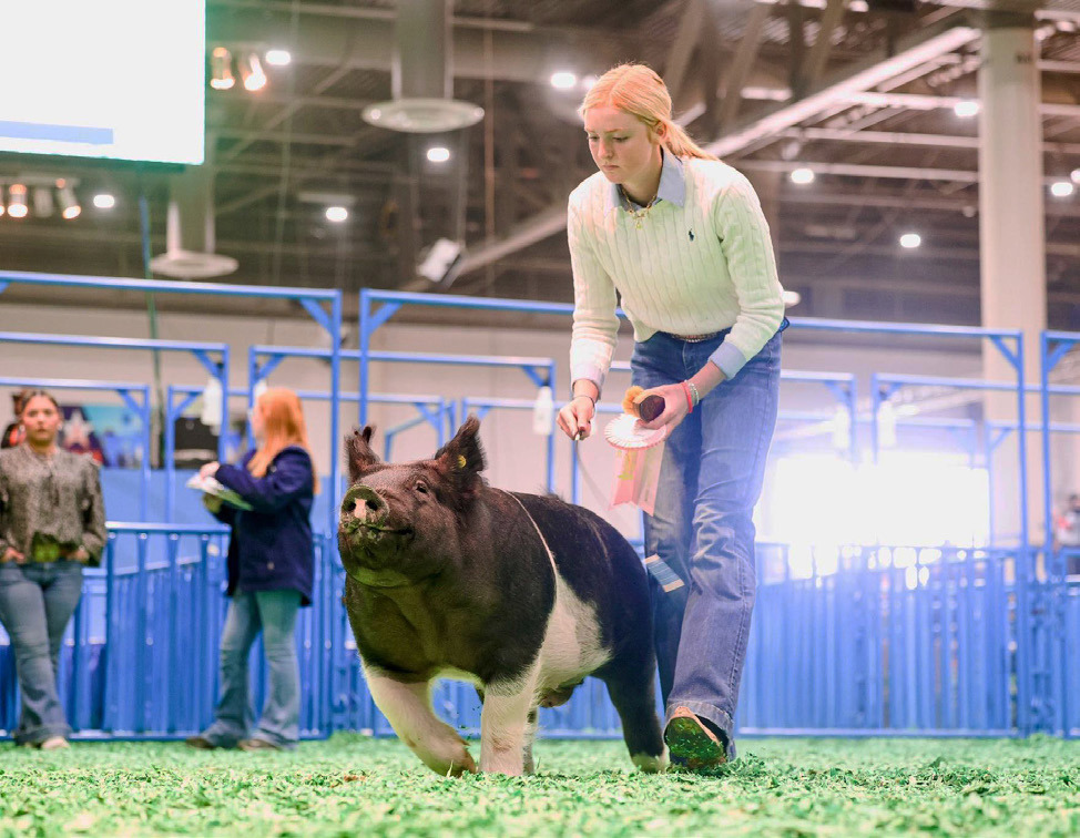 Valley’s Allie Pigg finished in 4th place with her HeavyWeight Cross at the Houston Livestock Show and Rodeo. | COURTESY PHOTO