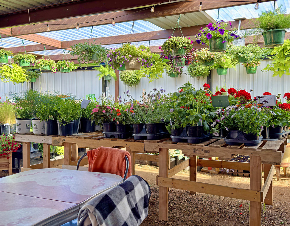 The biergarten awning at Chelle’s Garden in Matador provides a family-friendly “cool and green and shady” spot to gather with friends, enjoy music, and order food and beverage. | COURTESY PHOTOS