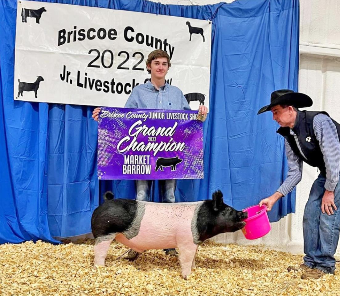 SPOTLIGHT ON AREA LIVESTOCK SHOWS
