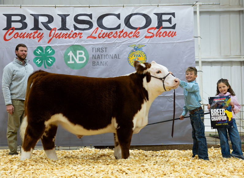 MARKET STEER BREED CHAMPION BARRETT BROCK