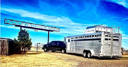• 1st Place, Wilson Cattle