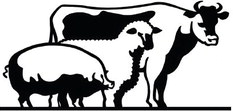 Briscoe, Cottle Livestock Shows slated for this weekend