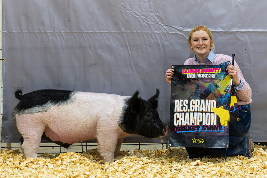 MARKET SWINE RESERVE GRAND CHAMPION ALLIE PIGG