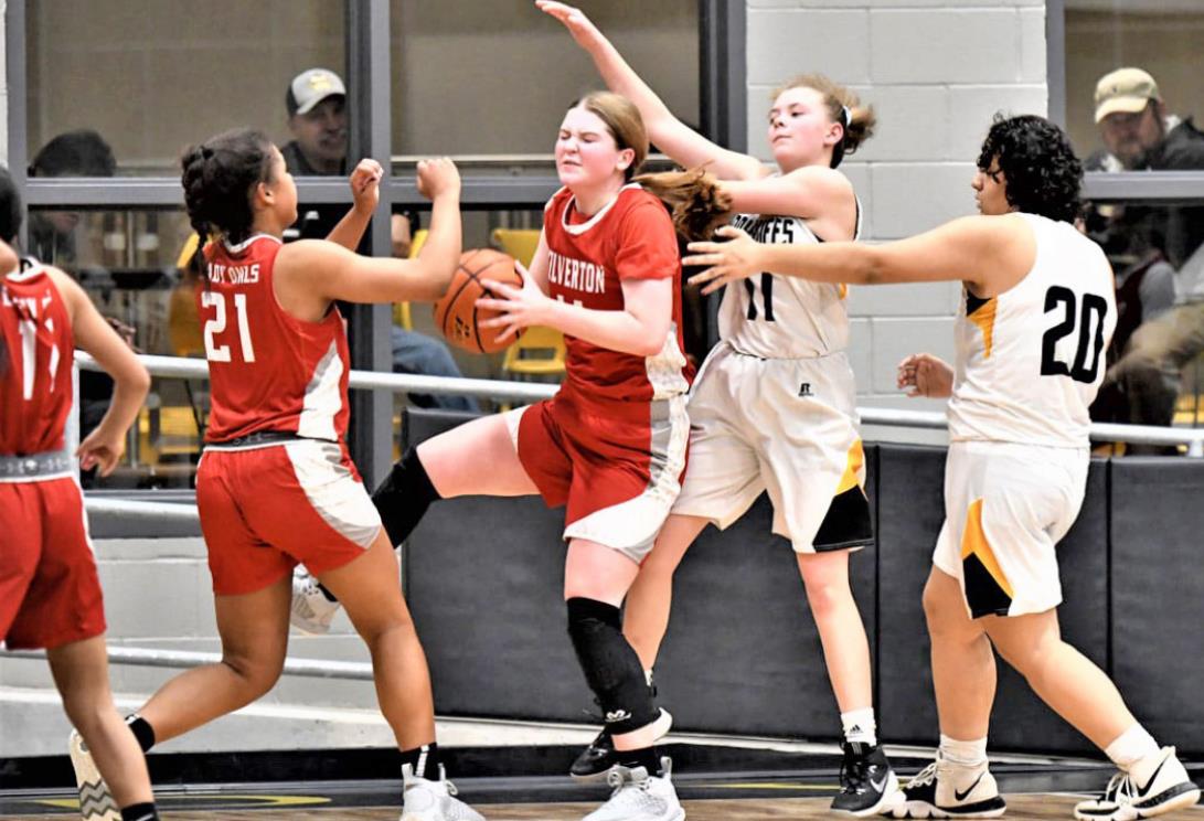 OWL BASKETBALL