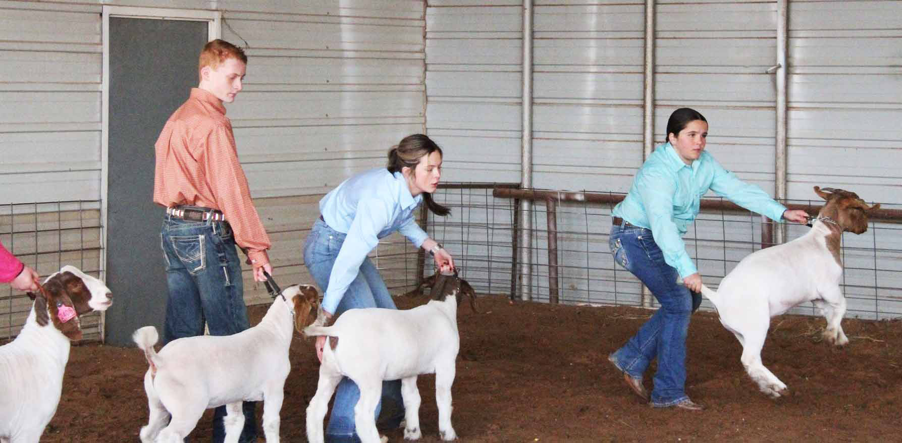 SPOTLIGHT ON MOTLEY COUNTY JUNIOR LIVESTOCK SHOW
