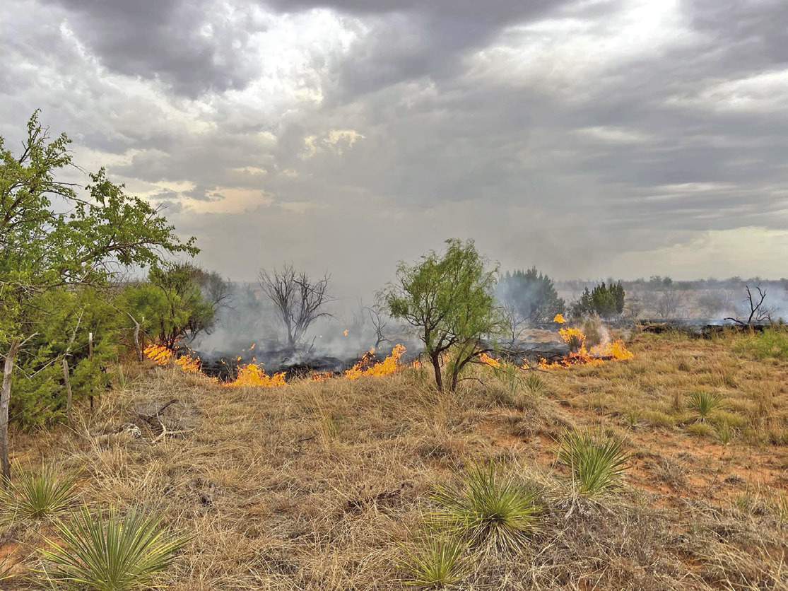 PADUCAH AREA FIRE Paducah firefighters last week contained a Grass fire at the intersectionof US 70 and CR 206. | COURTESY PHOTO