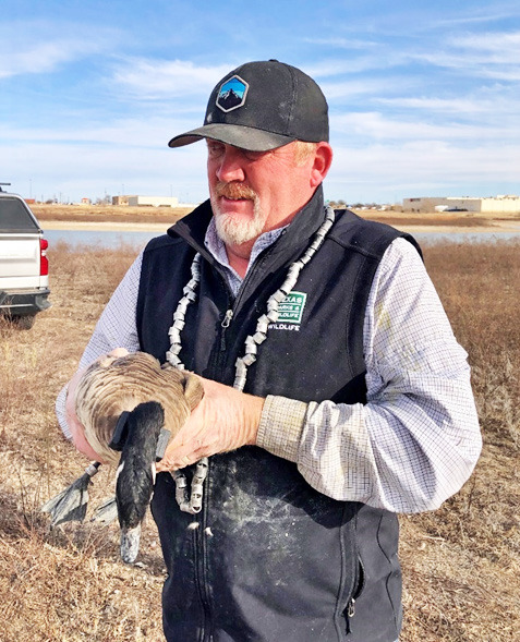 PLAYA DAY Kevin Kraai, Waterfowl Program leader with the Texas Parks and Wildlife Department, will give information on current waterfowl numbers in the Panhandle-South Plains, based on aerial surveys conducted this past winter. | COURTESY PHOTO