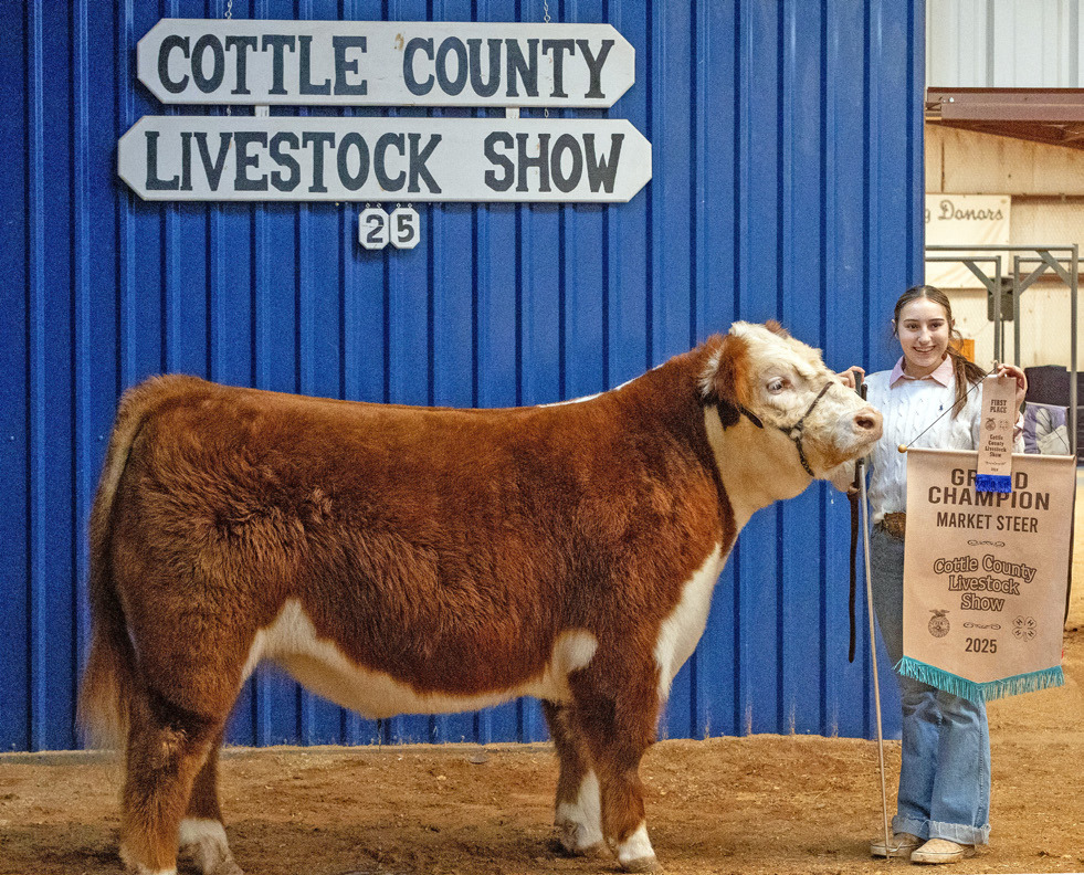 STEER GRAND CHAMPION CAMDYN CANALES