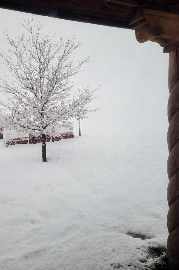 SNOWY SPRING BREAK