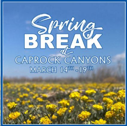 Spring Break events at Caprock Canyons State Park