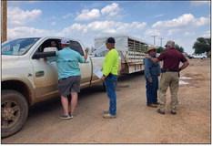 THE MORNING AFTER an EF3 tornado struck population–571 Matador, volunteers left their own hometowns and headed to Motley County to assist with tasks from moving livestock to handingoutfoodandwaterintheTexasheat. | LIZADAMSPHOTO