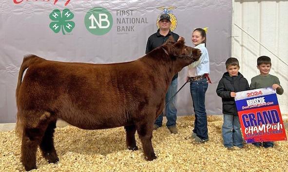 STEER GRAND CHAMPION KOLLINS BROCK