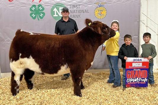 STEER RESERVE GRAND CHAMPION KYNLIE BROCK