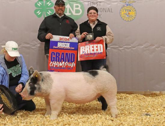 GILT GRAND CHAMPION BEN TREVINO
