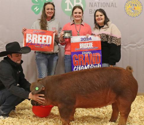 GILT RESERVE GRAND CHAMPION KYNLIE BROCK