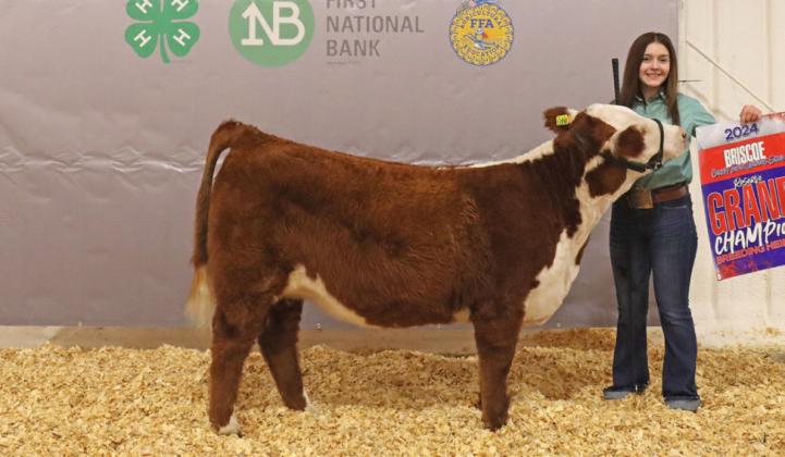 HEIFER RESERVE GRAND CHAMPION SHANDI GWINN