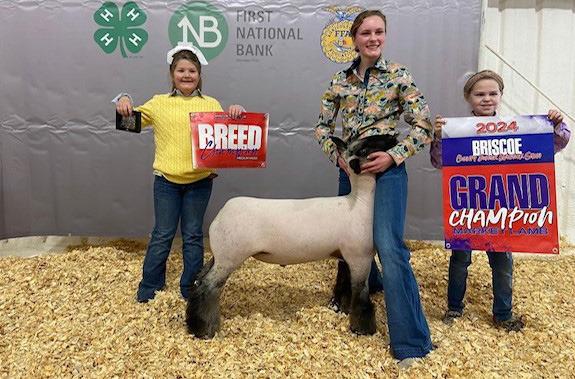 LAMB GRAND CHAMPION MADDIE FRANCIS