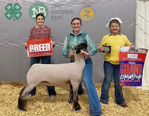 LAMB RESERVE GRAND CHAMPION BRENNA FRANCIS