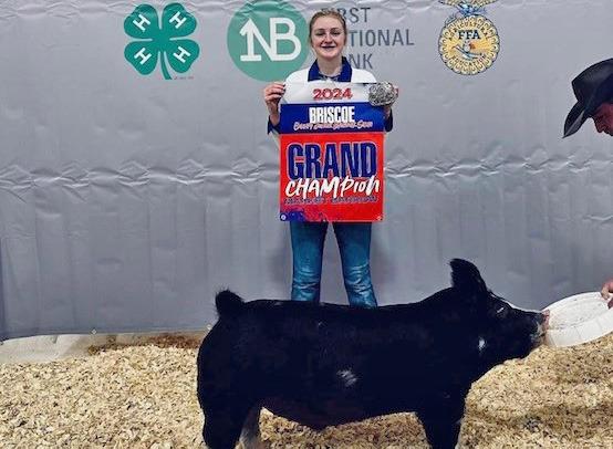 BARROW GRAND CHAMPION ALLIE PIGG
