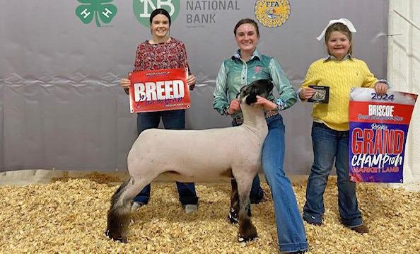 BARROW RESERVE GRAND CHAMPION BRENNA FRANCIS