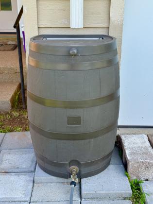 FREE WATER All you need to collect rainwater is a catchment, a hard surface such as a rooftop, with gutters that direct water flow from downspouts into holding containers like rain barrels. | CAPROCK COURIER