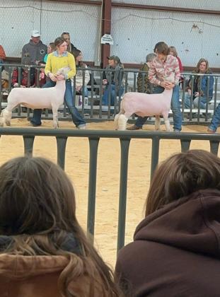 Cottle County Livestock Show 2024 Highlights