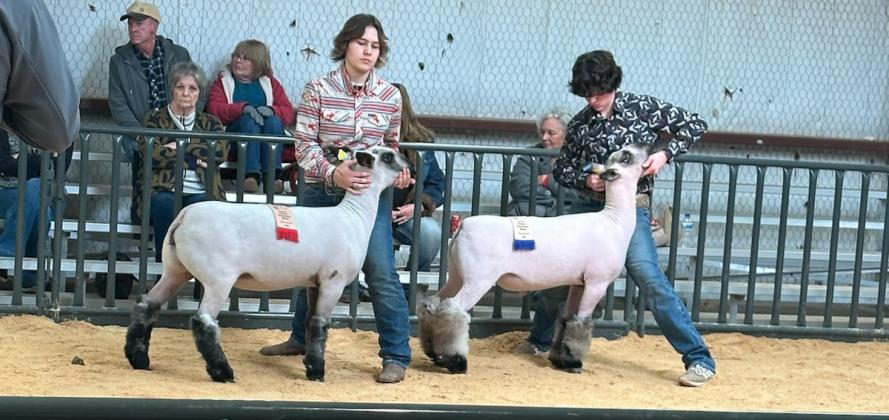 Cottle County Livestock Show 2024 Highlights