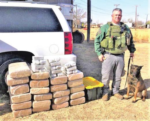 K-9 CATCH