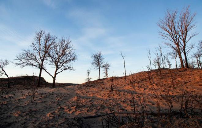 Farm Credit organizations come together, contribute $380,000 to wildfire relief efforts in the Texas Panhandle