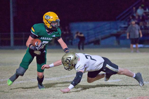 Jaguars fall to Jaybirds in playoffs