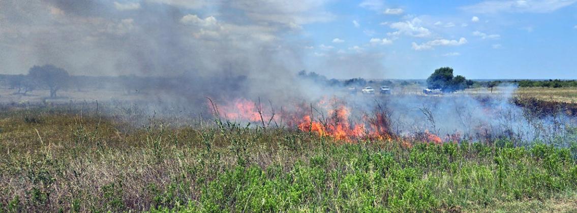 PRESCRIBED FIRE TRAINING