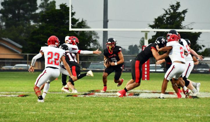 #5 Matadors tame Roby Lions