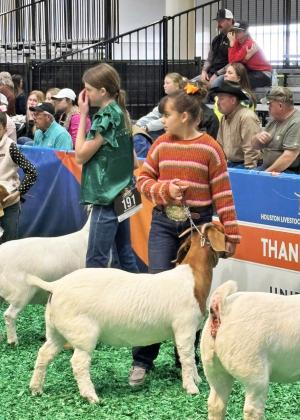 GOT YOUR GOATS