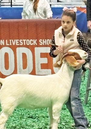 GOT YOUR GOATS The Koepke sisters of Motley County showed their home-raised goats at the Houston Livestock Show last week. Kenzi, Maci and Kayli put in lots of hard work to represent Motley County at this major show. | COURTESY PHOTOS