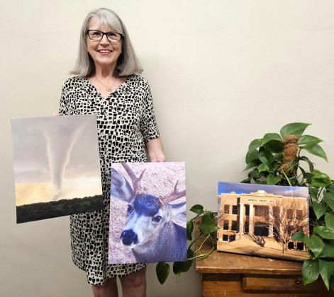 KATHY MAY, 1st place in Landscape/Nature, Wildlife, and Briscoe County Courthouse.